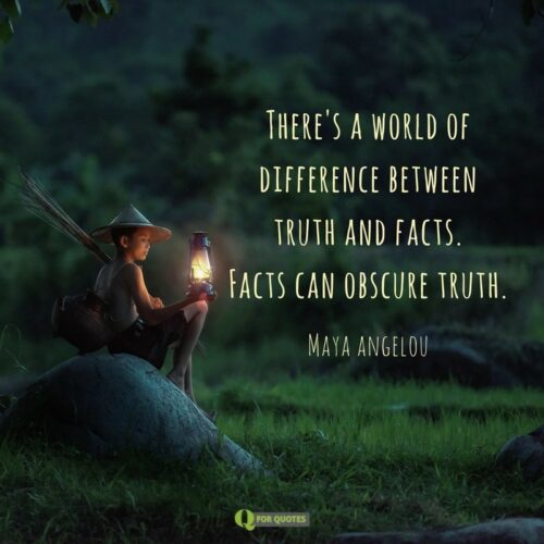 There's a world of difference between truth and facts. Facts can obscure truth. Maya Angelou