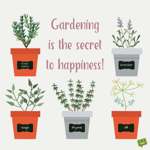 Gardening is the secret to happiness.