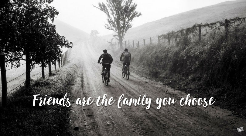 The 200+ Most Beautiful Friendship Quotes