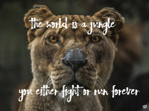 The world is a jungle. You either fight or run forever.