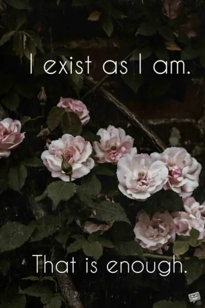 I exist as I am. That is enough.