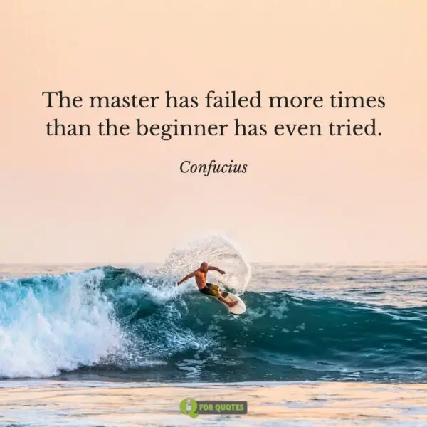 The master has failed more times than the beginner has even tried. Confucius