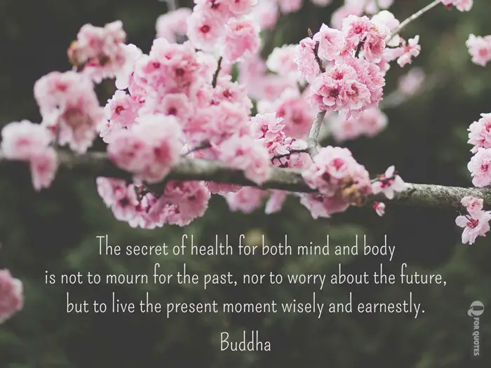 The secret of health for both mind and body is not to mourn for the past, nor to worry about the future, but to live the present moment wisely and earnestly. Buddha. 