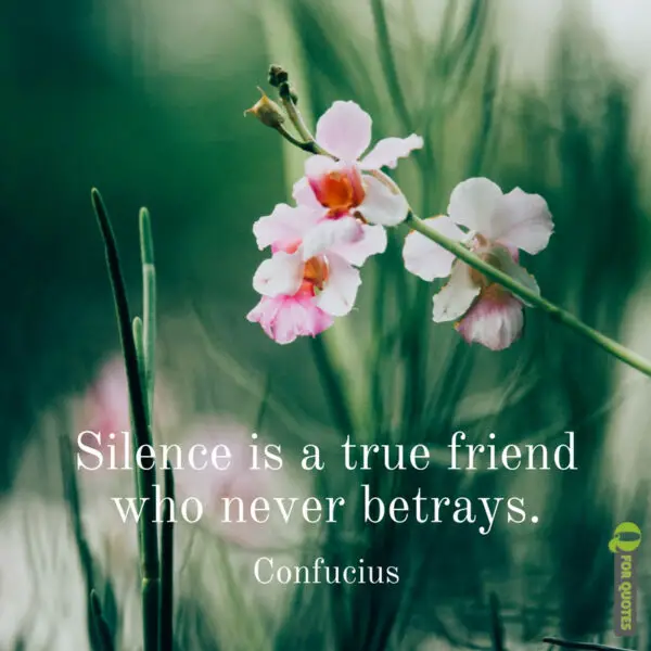Silence is a true friend who never betrays. Confucius