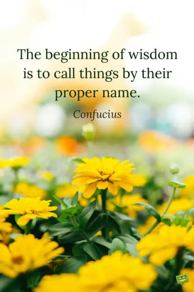 The beginning of wisdom is to call things by their proper name. Confucius