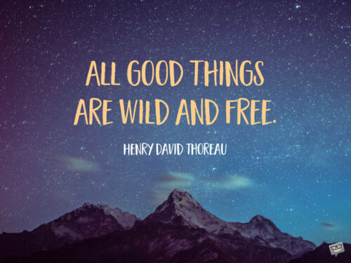 All good things are wild and free. Henry David Thoreau