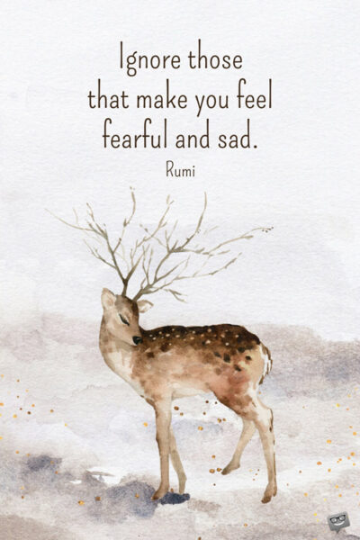 Ignore those that make you feel fearful and sad. Rumi
