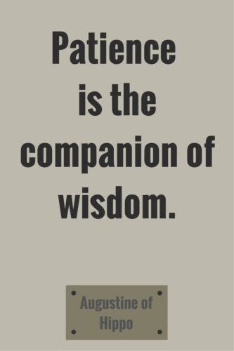 Patience is the companion of wisdom. Augustine of Hippo