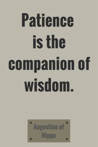 Patience is the companion of wisdom. Augustine of Hippo