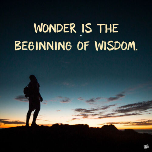 Wonder is the beginning of wisdom. Socrates