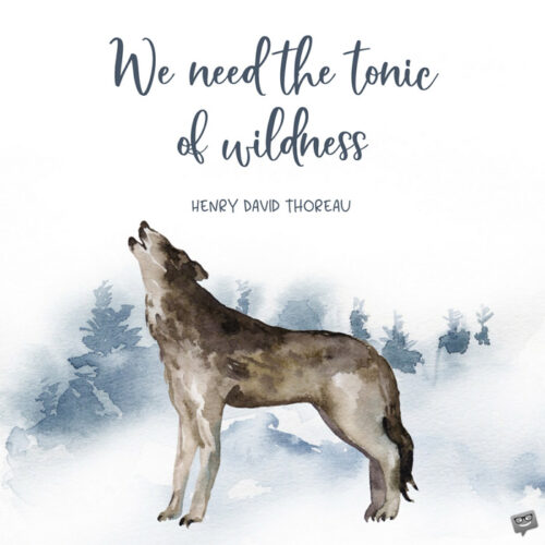We need the tonic of wildness... Henry David Thoreau