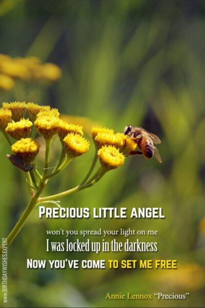  Precious little angel Won't you spread your light on me I was locked up in the darkness Now you've come to set me free Annie Lennox - "Precious"