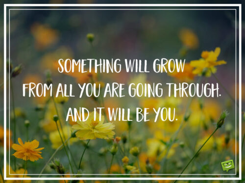 Something will grow from all you are going through. And it will be you.