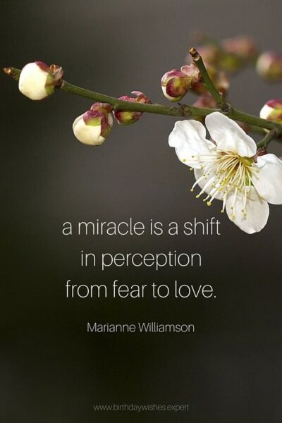 A miracle is a shift in perception from fear to love. Marianne Williamson