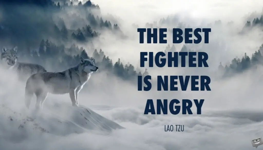 The best fighter is never angry. Lao Tzu