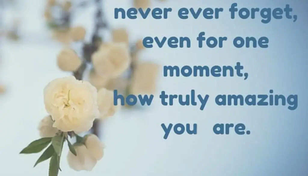 Never ever forget, even for one moment, how truly amazing you are.