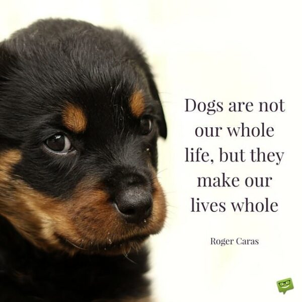 Dogs are not our whole life, but they make our lives whole. Roger Caras