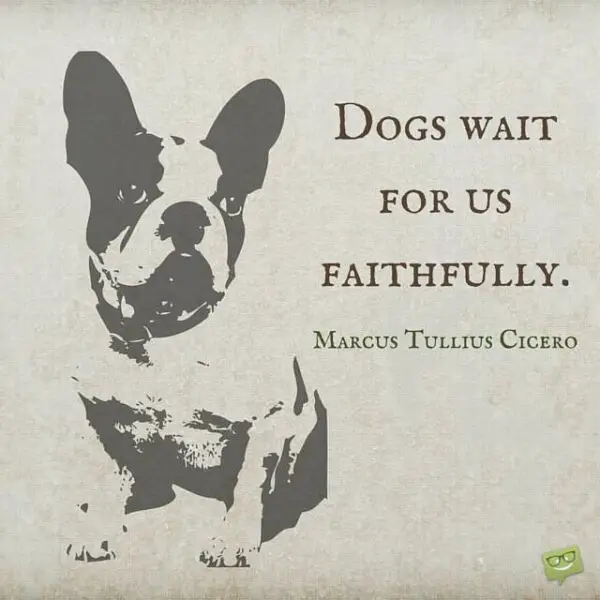 Dogs wait for us faithfully. Marcus Tullius Cicero 