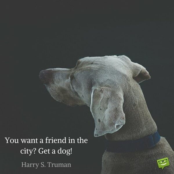 You want a friend in the city? Get a dog! Harry S. Truman