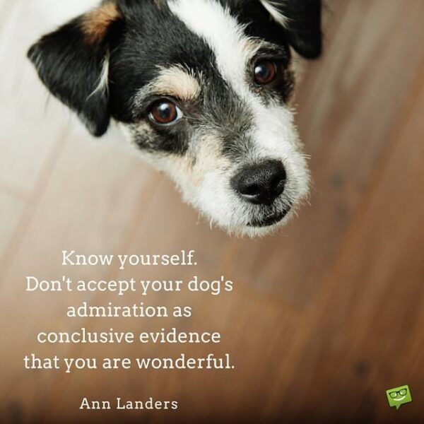 Know yourself. Don't accept your dog's admiration as conclusive evidence that you are wonderful. Ann Landers