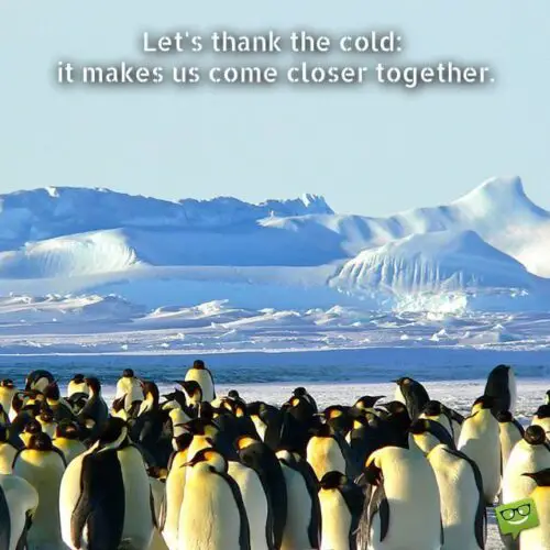  Let's thank the cold - it makes us come closer together.
