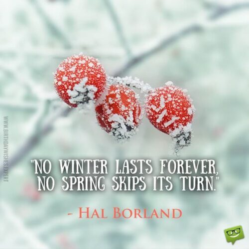 No winter lasts forever, no spring skips its turn. Hal Borland.