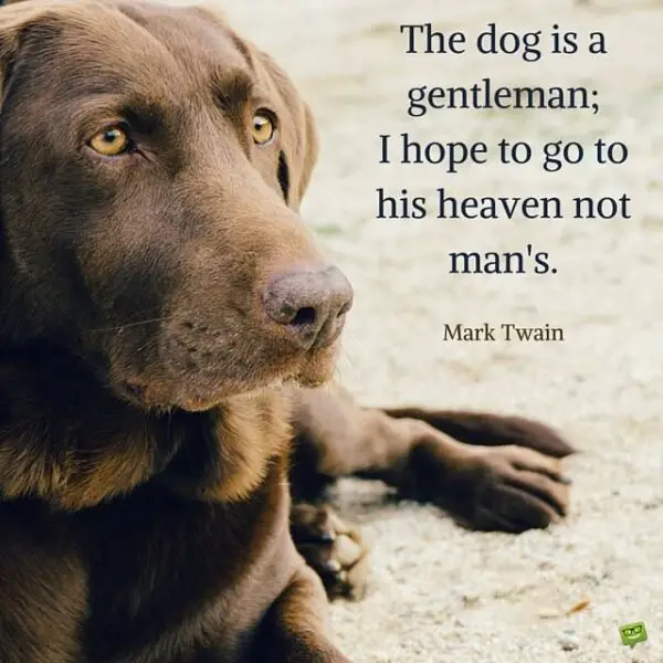 The dog is a gentleman; I hope to go to his heaven not man's. Mark Twain