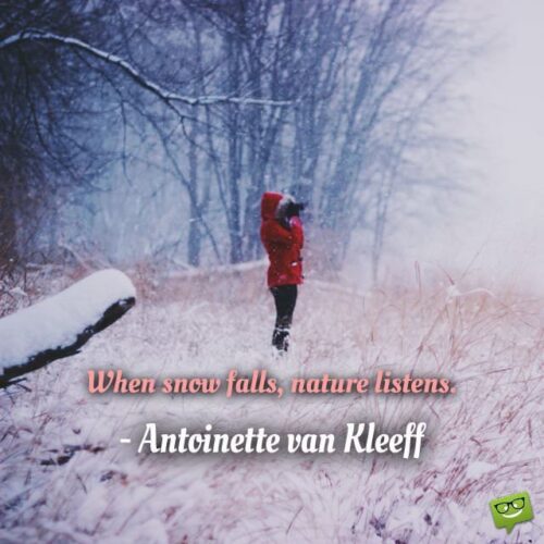 When snow falls, nature listens. Antoinette van Kleeff