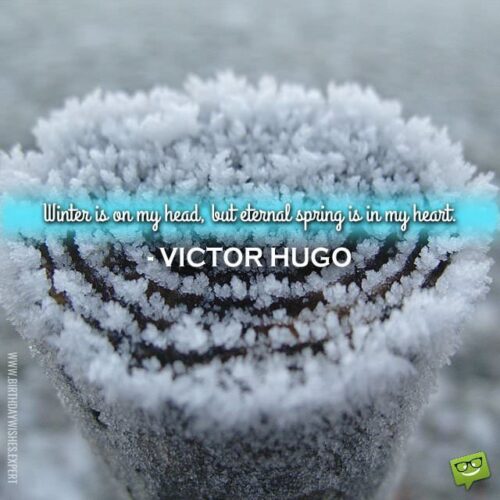 Winter is on my head, but eternal spring is in my heart. Victor Hugo