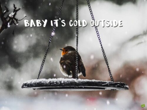 Baby, it's cold outside.