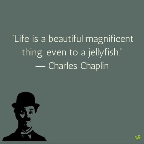 Life is a beautiful magnificent thing, even to a jellyfish. Charles Chaplin