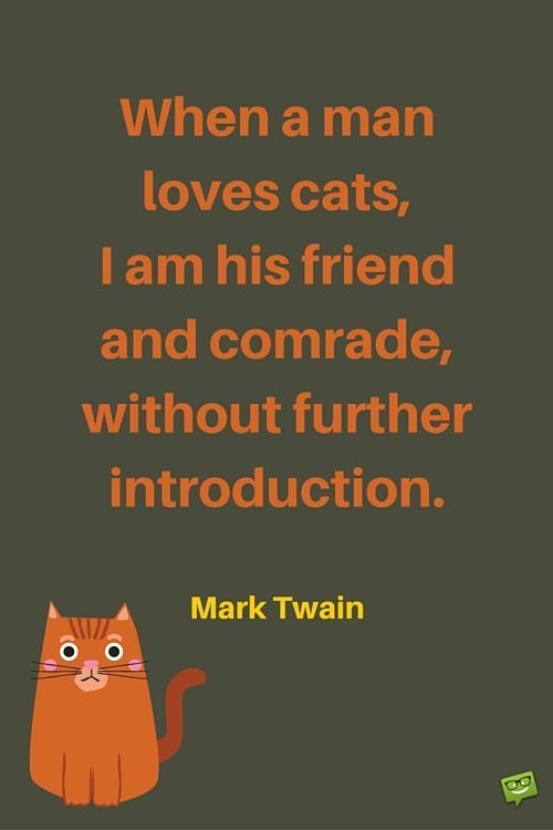When a man loves cats, I am his friend and comrade, without further introduction. Mark Twain.