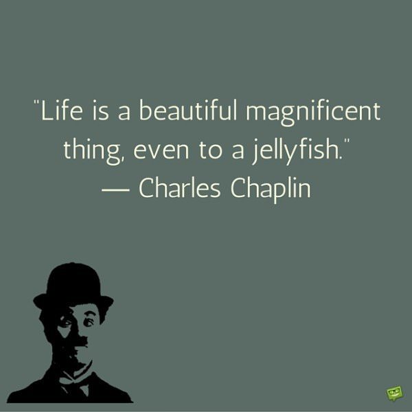 Life is a beautiful magnificent thing, even to a jellyfish. Charles Chaplin