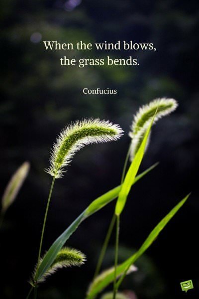 When the wind blows,the grass bends. Confucius
