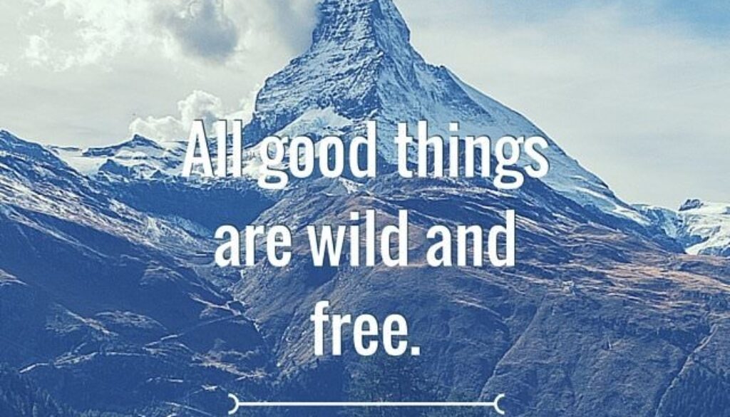 All good things are wild and free. Henry David Thoreau.
