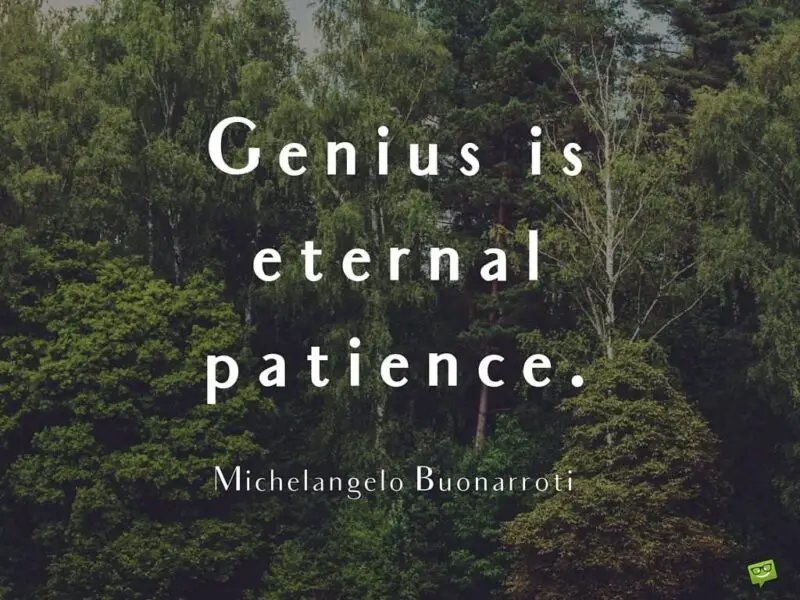 Genius is eternal patience. Michelangelo Buonarroti.