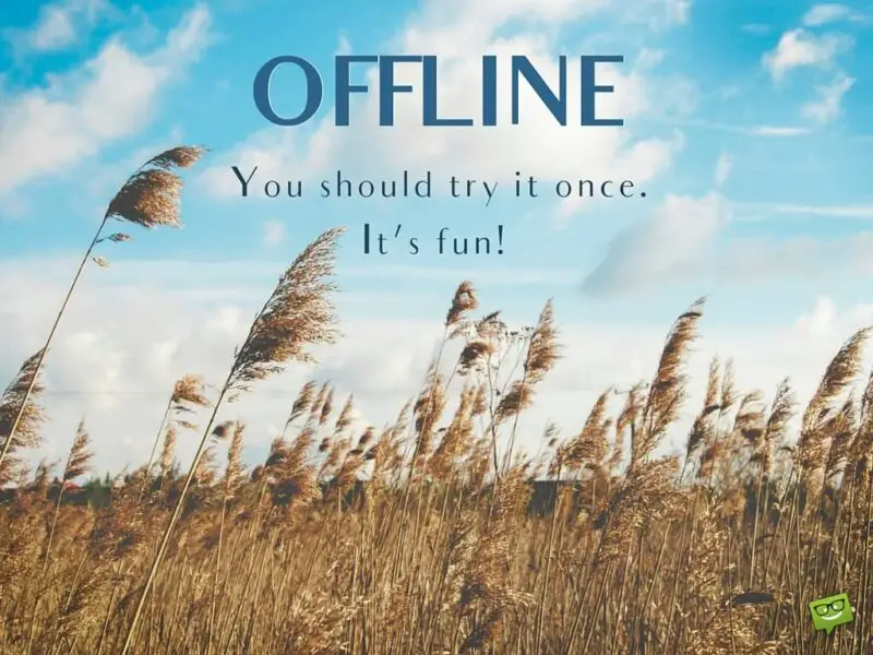 OFFLINE. You should try it once. It's fun. 