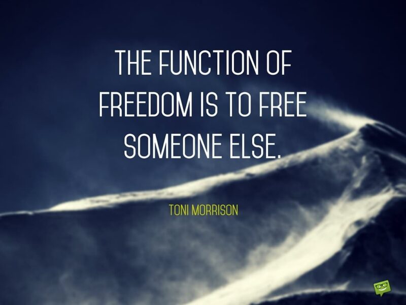 The function of freedom is to free someone else. Toni Morrison.