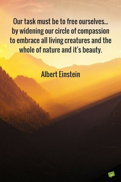 Our task must be to free ourselves... by widening our circle of compassion to embrace all living creatures and the whole of nature and it's beauty. Albert Einstein.