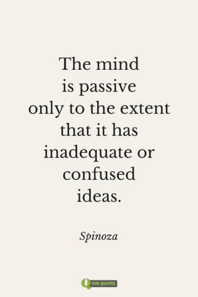 The mind is passive only to the extent that it has inadequate or confused ideas. Spinoza