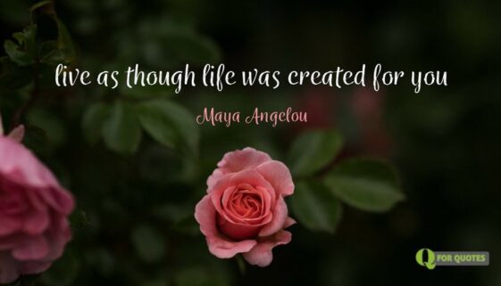 Live as though life was created for you. Maya Angelou