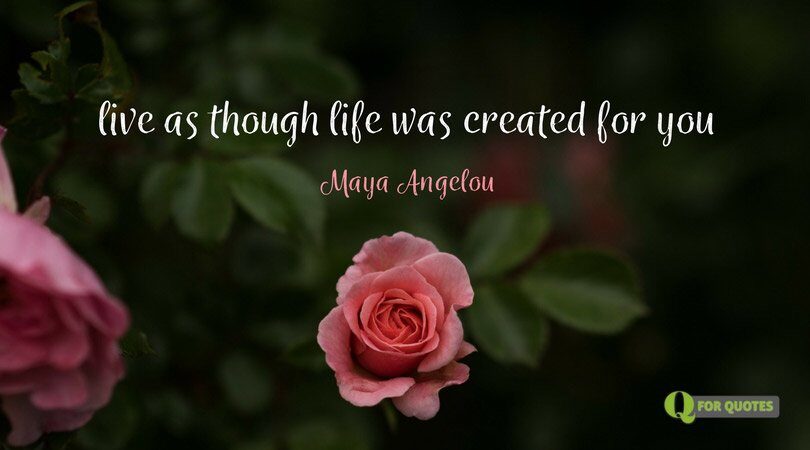 101 Amazing Maya Angelou Quotes