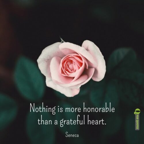 Nothing is more honorable than a grateful heart. Seneca