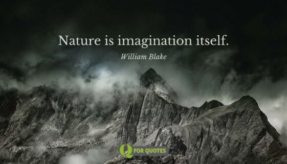 cover-image-for-quotes-about-imagination