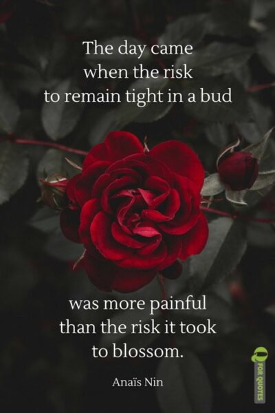 The day came when the risk to remain tight in a bud was more painful than the risk it took to blossom. Anaïs Nin