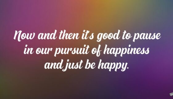 Now and then it's good to pause in our pursuit of happiness and just be happy. Guillaume Apollinaire