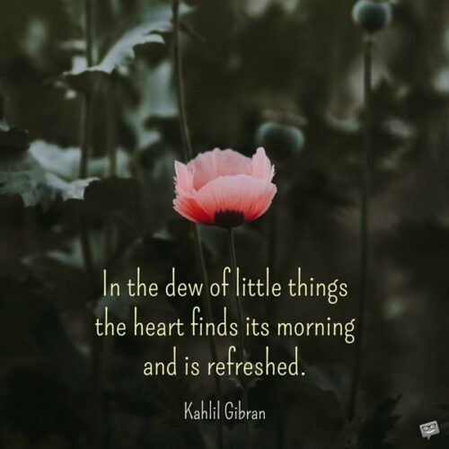 In the dew of little things the heart finds its morning and is refreshed. Kahlil Gibran