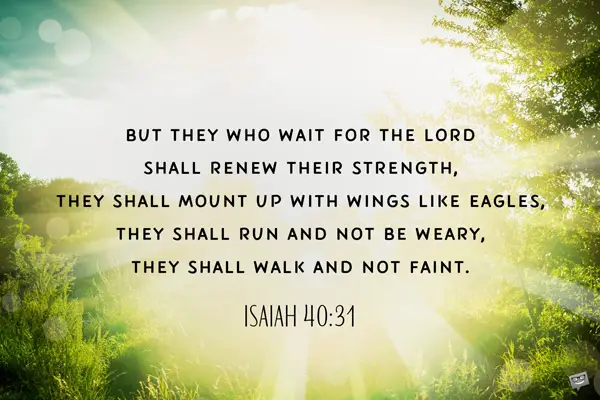 But they who wait for the Lord shall renew their strength, they shall mount up with wings like eagles, the shall run and not be weary, they shall walk and not faint. Isaiah 40:31