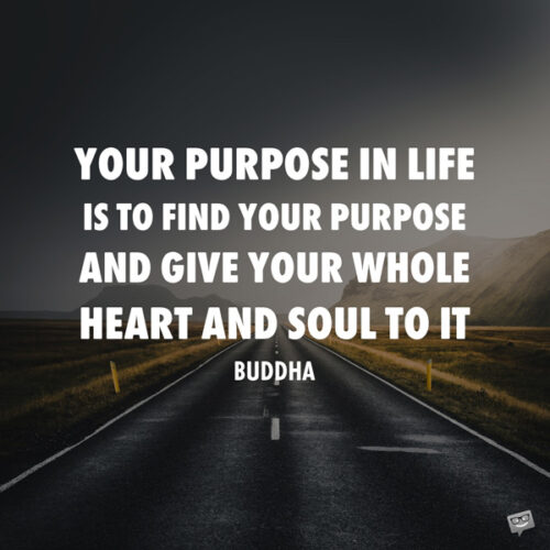 Your purpose in life is to find your purpose and give your whole heart and soul to it. Buddha