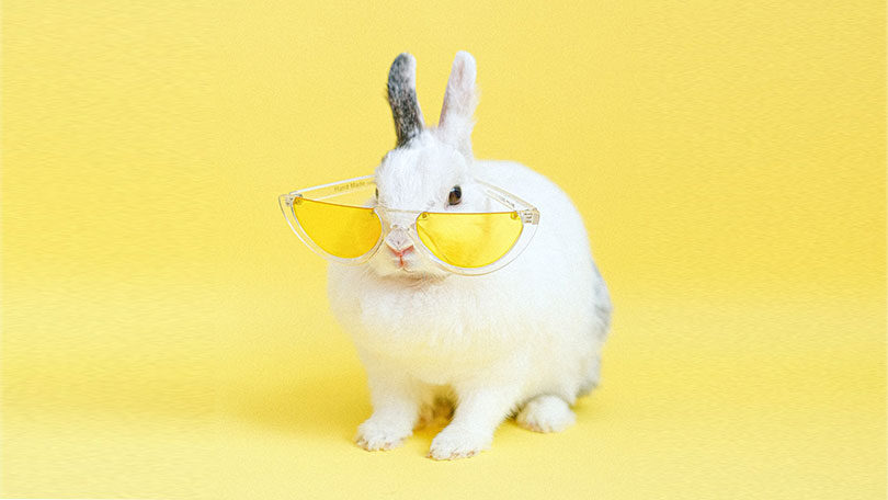 121 Cool Quotes About an Impressive Zeitgeist